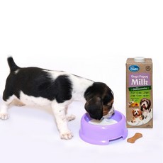 [7차신규입고] 펫츠온 호주 프리미엄 펫밀크 멀티팩 독앤퍼피 락토스프리 강아지 멸균우유 1리터, 1개, 1L, 우유