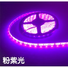 仟尚電商 5050 LED燈條 12V防水滴膠單色燈條套裝 300晶 家用裝潢電視牆廣告燈, 1個, （粉紫）＋電源座轉ＤＣ母頭,滴膠１００公分＋１２Ｖ２Ａ變壓器（Ａ款）