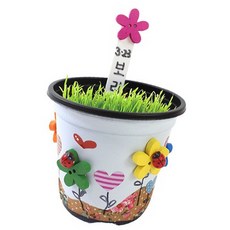 라이즈올3 꽃단추 보리화분 만들기 1인용 미니화분 씨앗키트
