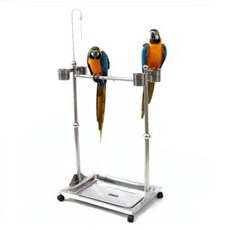 304不鏽鋼鸚鵡站桿, 大號, 1個