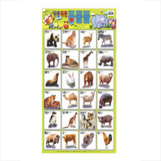 뒤뚱뒤뚱 동물들(벽보)(완구/교구), 담터미디어