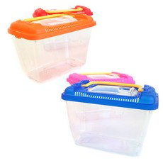 자연 관찰 채집통, 1개