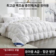 구스이불 이불 겨울 두꺼운 한파용 폴란드 호텔침구 힐튼, 듀폰 쥬화 스타일 어반 화이트