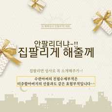 (급속매매부적)안팔리던 집 잘팔린다는 수련아씨 개인맞춤 친필수제부적 2장 세트(기도발원후 부적집에 넣어서 택배박스에 보내드려요)교환반품불가, 친필부적2장