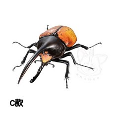 M.M小舖 BANDAI 轉蛋 扭蛋 生物大圖鑑進擊 大象兜蟲與赫克力士長戟大兜 昆蟲 模型 全4款, 1個, C款/長戟大兜蟲1B162