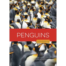 (영문도서)Penguins Library Binding, Creative Education, English, 9798895811481
