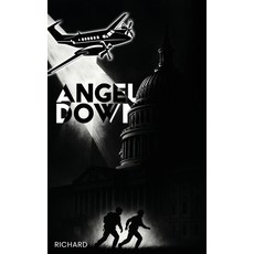(英文圖書)Angel Down 精裝版, Richard Totino, 英文