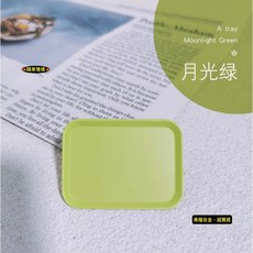 隨草憶境 高檔合金迷你仿真北歐D162 娃娃屋袖珍微縮食玩微景觀模型, C-月光綠托盤