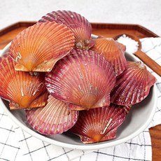 통수산 2025년 당일조업 세척 햇 활 홍가리비 통영 국산, 1개, 홍가리비3kg(60미내외)