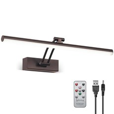 하우엠존 픽처 라이트 16인치 충전식 무선 디머블 LED 아트워크 조명 회화용 캔버스 갤러리 초상화 브라스, Bronze-Curved arm, 1개