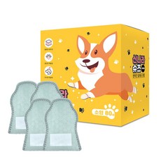 와우 강아지신발 숨쉬는 신나라슈즈 80매, 민트, 1개