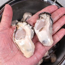 통영 생굴 최상급 깐굴 산지직송 지퍼백 포장, 1개, 2kg