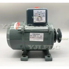 220V 고출력 소형 발전기 홈 조명 영구 자석 브러시리스 벨트 디젤 엔진 핫세일, 01 3500