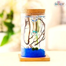 마리모 키우기 유리병 5cm 수생식물 미니 어항 DIY 실내 반려식물 세트 빅캣마켓