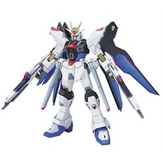 HG 1/144 ZGMF-X20A 스트라이크 프리덤 건담 (기동전사 건담 SEED DESTINY), 1개