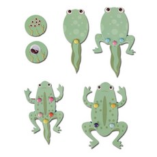 과학 실험 준비물 개구리 한살이 조립 세트 과학도구 방과후활동 실험기구