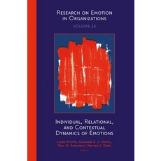 (영문도서) Individual Relational and Contextual Dynamics of Emotions Hardcover, English, 9781787548459