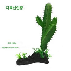 모의 조경식물 육거북 도마뱀 카멜레온 개구리 파충함 물거북 항아리 모의 수초 다육식물, 큰 선인장, 1개