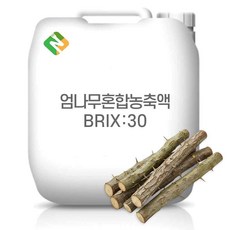 엄나무혼합농축액 30Brix 200g 샘플, 1개
