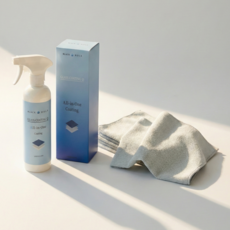 블랙홀 글라스 코팅큐 500ML+APT올인원타월 2장 유리막코팅제 수전 유리 거울 발수코팅, 1개, 500ml