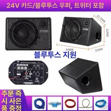 차량용 우퍼스피커 12V 서브우퍼 24V, 단일 스피커, 범용, 10인치 24V 카드+BT+트위터