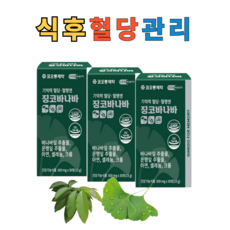 (라온100) 기억력 혈당 혈액 식후혈당 코로솔산 은행잎추출물 징코바나바, 3박스, 30정