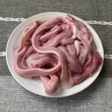 [국산] 부산 자갈치 완손질 생물 꼼장어 1kg (10~15마리쯤) 소스동봉 산지직송 곰장어 먹장어, 1개, 꼼장어1kg / 소스1팩