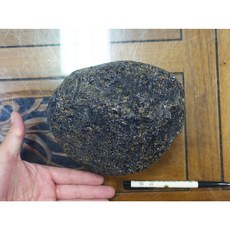印尼隕石 Agni Manitite 烈火石 能量礦石 2984.5克