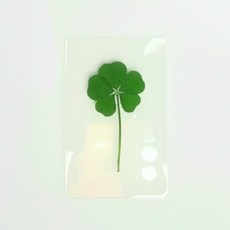 생생정보 푸드클로버 금전운 다섯잎클로버 코팅카드 투명1장, 봉투미포함, (봉투미포함), 1개