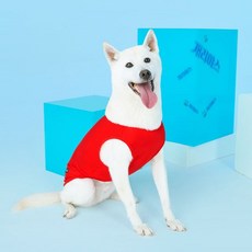 BYC 개리야스 보디드라이 쿨런닝 ODB0005 204398, RD(레드)204398