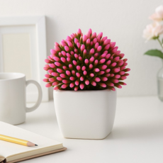 루체트리 화분 프리티플 다육이 조화 인테리어