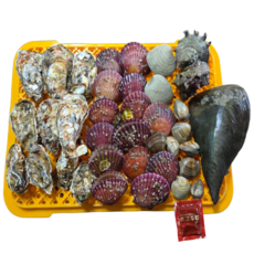 프리미엄 캠핑 모듬 조개구이 세트, 2kg, 1개