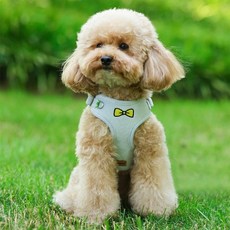 강아지 코듀로이 하네스+리드줄 반려동물 외출, 1개, 블루