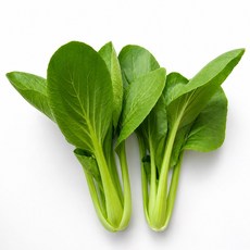 頂好特高青江菜種子小包裝 株高可達30公分 全年可種植, 1包