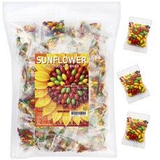 컬러푸드 해바라기씨 초콜릿, 10g, 65개
