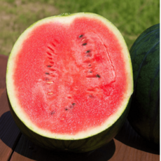 [100개한정 특가할인] 당일수확 고당도 흑수박, 1개, 4kg