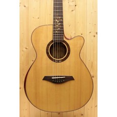 Ayers 20th Passion ACXW 奧昇系列 全單板民謠吉他, 1個