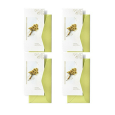 솜씨카드 프리저브드 수채화 축하 메시지 드라이플라워카드, 1개, 4개