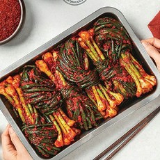 김가연 똑소리나는 쪽파김치