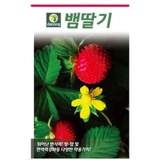 다농 뱀딸기 씨앗 0.5g 1000p, 3개