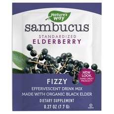 Nature's Way Sambucus Fizzy接骨木莓沖泡粉隨身包, 1組, 10入