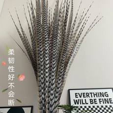 低價爆款 熱賣 孫悟空俏花旦京劇戲曲京戲演出天然野鷄毛超長翎毛雉鷄翎羽長翎子, 150厘米一根