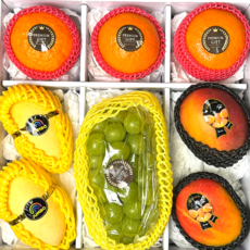 세트 과일 선물세트 혼합4호, 1박스