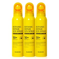 국내 유일 99.94% 지속 비건인증 선스프레이 땀에도 안지워지는 360도분사 SPF50+ PA++++, 3개, 120ml
