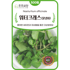 [주주씨앗] 워터크래스 물냉이 씨앗 500립 / 비타민 미네랄 풍부한 다년생 허브 종자 / 허브씨 씨앗몰, 1개