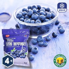 이츠웰 냉동 블루베리 1kg x 4개 칠레산 과일 스무디