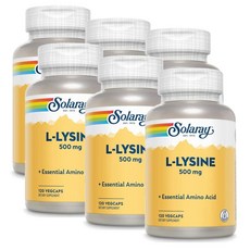 솔라레이 L-라이신 500mg SOLARAY L-Lysine, 6개, 120정