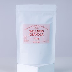 웰니스그래놀라 저당수제그래놀라 시나몬 200g, 1개