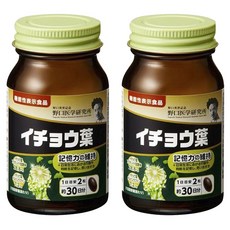 노구치의학연구소 은행나무잎 플라보노이드 28.8mg 테르펜락톤 7.2mg 소프트젤 30g, 2개, 60정