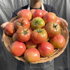 [신선보장] 농진사 찰토마토 로얄과 농지 당일경매, 1박스, 5kg 중과